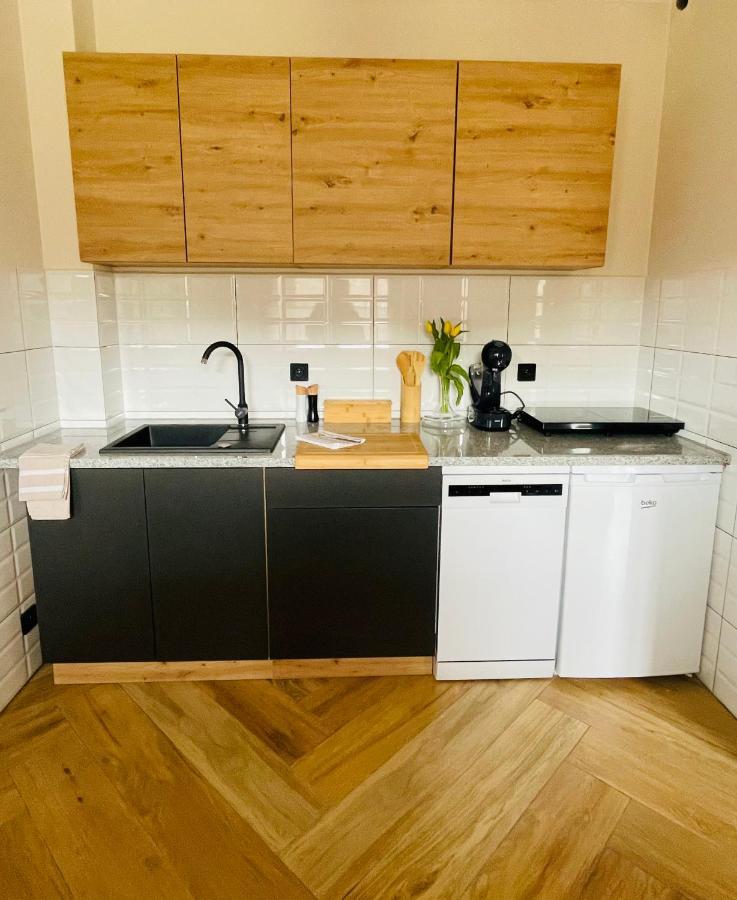 Gorska Cisza - Duzy, Komfortowy, Wyjatkowy Apartament Строне-Слёнске Экстерьер фото